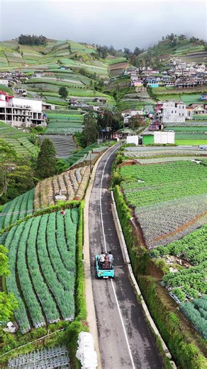 Walaupun kabut tetap syahdu gaes 😍 Naik jeep trip ke Nepal Van Java. . . . . . . . . #magelang24jam #ayopiknikkaliangkrik #jeepwisatamagelang #nepalvanjava_magelang #Adella