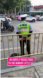A kind policeman quietly feeds a hungry kitten. Small act, big heart. | Dog - Man’s Best Friend