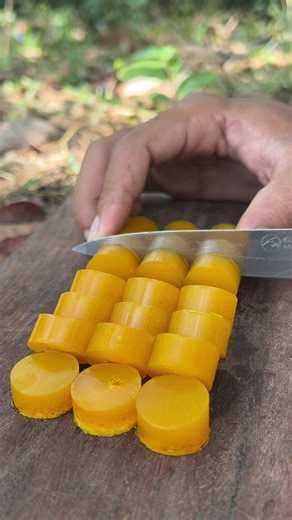 Essential Guide to Making Soap and Water for Camping