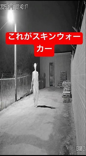 スキンウォーカーを知ってますか？#aiart #都市伝説#スキンウォーカー #skinwalker #ホラー