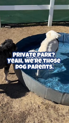 Private park? Yeah, we’re those dog parents the ones who book by the...