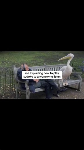 “and thats why its not a guessing game, but about logic…” #sudoku