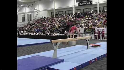 2024 Australian Championships - WAG Sr AA/EF results AA 1. Ruby Pass 110.197 2. Breanna Scott 105.430 3. Emily Whitehead 102.596 4. Emma Nedov101.031 5. Olena Edmades 100.165 6. Kate Sayer 99.596 EF VT - Ruby Pass 28.216 UB - Ruby Pass 28.466 BB - Breanna Scott 28.099 FX - Ruby Pass 26.899 Full results - https://ausgymnasticschamps.com.au/results/ Video: SEN | International Gymnast Magazine