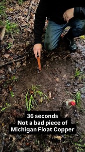 This was a screaming 40 signal on a Minelab Equinox 800 metal detector, no shovel needed, just a garrot carrot pin pointer and a hand digger. 30 seconds later out pops a nice 5 lbs piece of Michigan float copper. #upperpeninsula #metaldetecting #puremichigan #copper #minelab #rockhounding #rockhound | Traprock Copper