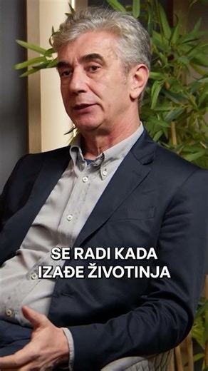 Put sa psom ili mačkom počinje identifikacijom 🐾