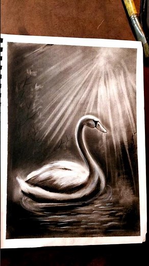 Charcoal Drawing | Realistic Swan on Water Tutorial From Sketch to Finish how to draw With charcoal