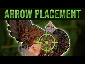 Shot Placement On Turkeys With A Traditional Bow | Fred Eichler