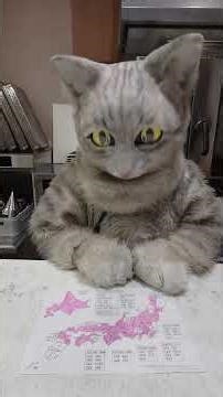 After work on March 4th