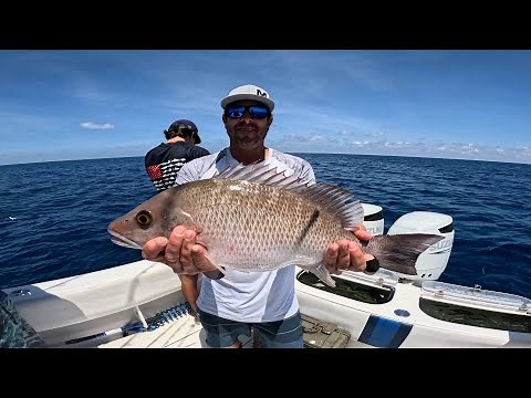 Offshore fishing the Florida middle grounds