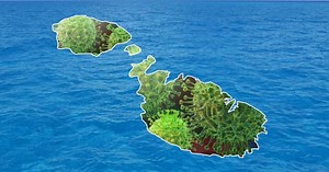 Malta Registers Just Two New Cases Of COVID-19 And 11 Recoveries