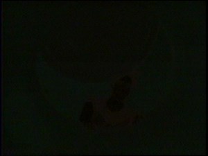 [Vintage VHS] Rock-A-Doodle