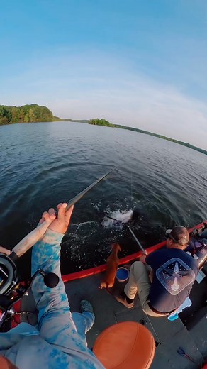 40K views · 226 reactions | INSANE MUSKY STRIKE!!!! #trophytimeleaders #muskyfishing | Musky Addict | Facebook