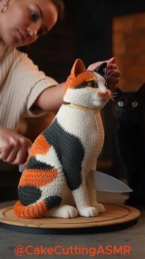 C'est un gâteau ou un vrai chat ? 🐱 L'illusion la plus bluffante ! #ASMR