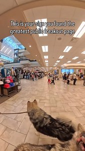 InstantFreakouts on Instagram: "Follow @instantfreakouts for more!"