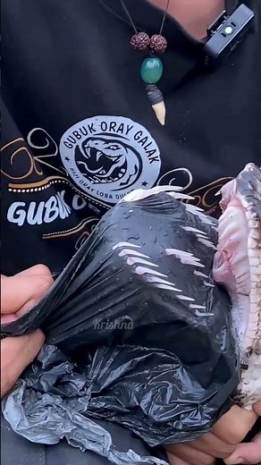 when the open mouth on python #shorts #snake #facts