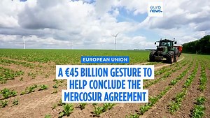 Von der Leyen pledges early funding to farmers in final push to secure Mercosur deal