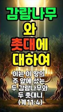 두 감람나무와 두 촛대 #감람나무 #두촛대 #종말론 #시온산 #왕권 #촛대교회 #기독교역사 #변화성도 #성경예언 #마지막때 #승리 #영적성장#요한계시록