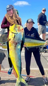 🎣—Thanksgiving Holiday Offshore Fishing Charters! Updated charter seat AVAILABILITY for MAHI Season!! Seats are moving fast — jump on these prime morning departures before they’re gone! 🚤🔥 📅 November 22 • 0600 — 2 seats left 📅 November 27 • 0545 — 10 seats • 0600 — 10 seats • 0615 — 10 seats 📅 November 28 • 0545 — 10 seats 📅 November 29 • 0545 — 2 seats • 0600 — 7 seats • 0615 — 1 seats 📅 November 30 • 0545 — 9 seats • 0600 — 8 seats • 0615 — 10 slots 🐟 Big mahi, screaming yellowfin, ra