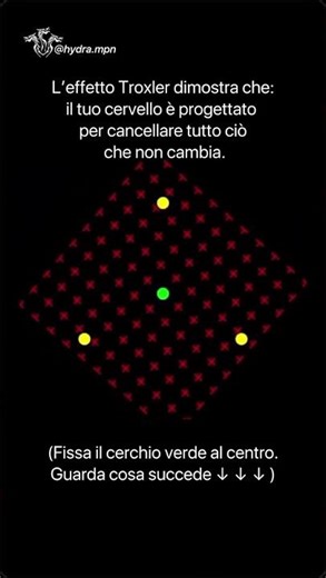 Il tuo cervello cancella quello che vedi — Continua in descrizione 👇