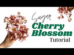 How to Make Gumpaste Cherry Blossoms // With Finespun Cakes