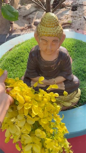 എത്ര പെട്ടെന്ന വിഷു ആയത് ✨🌼 #ammubalu #vishu #home #vlog #new #explore