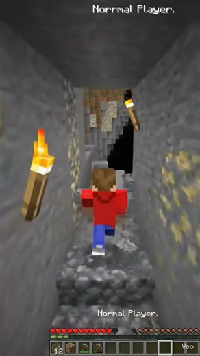 Pro Speedrunners Play A DIFFERENT Game 🤯