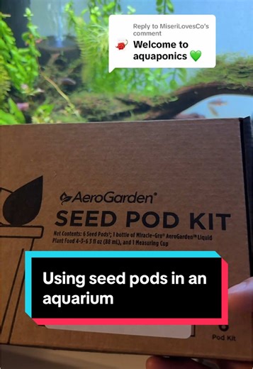 Using Seed Pods for Aquaponics in Aquariums