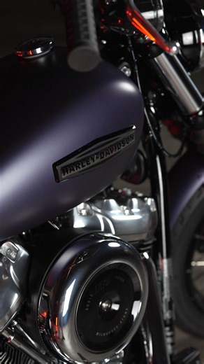 116 reactions | The 2025 Harley-Davidson Street Bob Paint and tank...