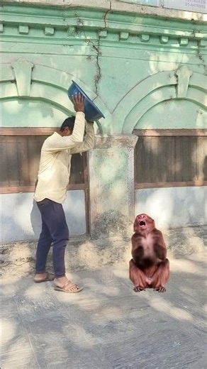 #hanumanchalisa Jai ​​Hanuman, ocean of knowledge and virtues, short video #devotion #jaihanuman ...