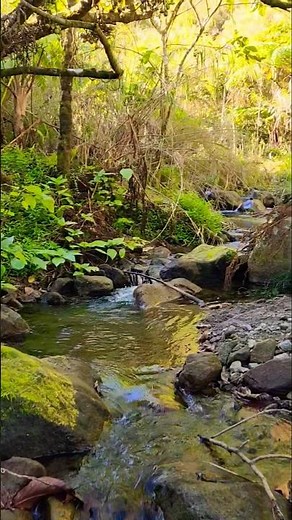 Pinatubo Volcano Crater Part 5 - Amazing nature 😍 streams rocks 🇵🇭 Philippines #philippines