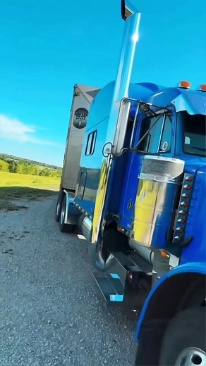 2.2K views · 130 reactions | Keeping it real in the cab  #cattlehauler #bullhauler #truckersoftiktok #truckertiktok #peterbilt #fyp #truckinglife | The Minnesota Bullhauler | Facebook