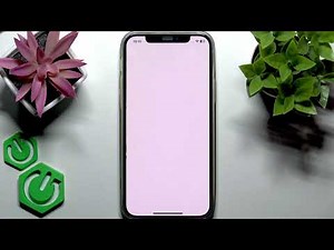 How To Find A Store On AliExpress