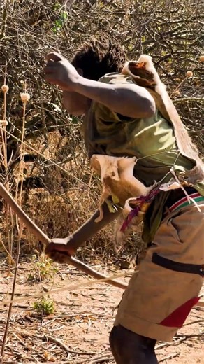 🔥 Raging Lone Bull Charges Hunter! Close Call and Dangerous Head-on Encounter (Full Hunt)