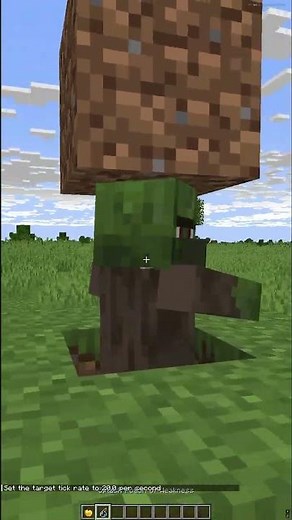 Zombie Dorfbewohner schneller in Minecraft Heilen Tutorial