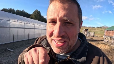 Life on a Goose Farm