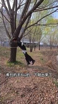 How to Escape from a Tree: Expert Tips & Tricks