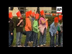 Elephants and horses from circus parade through streets of capital