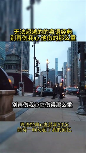 愿意心痛苦，不装饰你的梦。别再伤我心反复的戏弄，宁愿我携着忧郁归去，像刚消失那阵风。#前奏一响拾起多少人的回忆 #不装饰你的梦 #老歌越听越有味 #粤语歌曲#粤语歌#粤语经典#music#musica