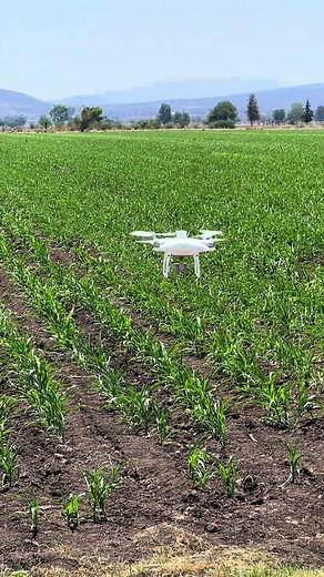 Drones en la Agricultura: Innovaciones en México