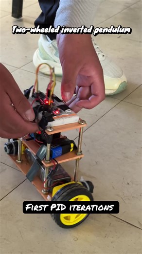 Self-Balancing Inverted Pendulum Robot Project