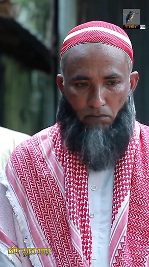 Conversation in a Domestic Setting: White vs. Plaid Shirt