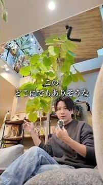 The Cultivation Manager and the Secret Room: We have a special room for cultivating plants. #Plat...