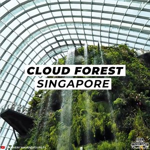 Amazing Cloud Forest At Gardens By The Bay, Singapore Credit: Discovery Walking Tours TV bit.ly/3bM48CK | Be There