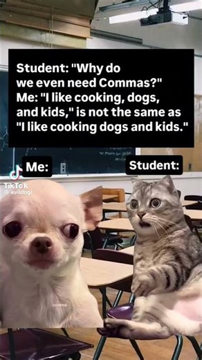a comma makes a big difference 🤣#funny #students #grammar #comedy