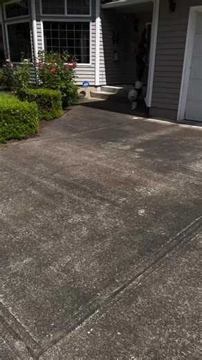 Winter, The Californium Dog💯 #californiumsupplyco