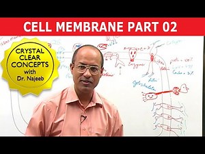 Cell Membrane Part 2/2