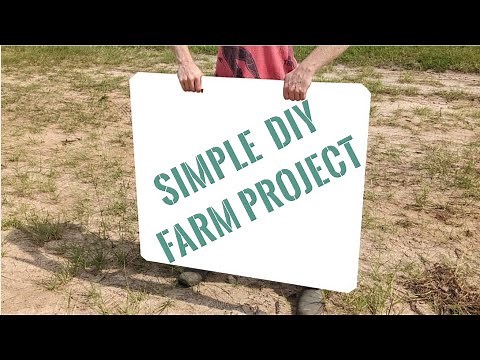 DIY Hog Sorting Board | Easy & inexpensive DIY project for any farm animal. Plywood & sweat!