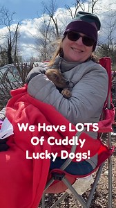 12 reactions | Need a snuggle? Adopt one of our loveable Lucky Dogs to get unlimited cuddles - or spend a day volunteering to get a day's worth! #IAmLuckyDog #AdoptDontShop | Lucky Dog Animal Rescue | Facebook