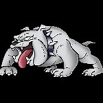 Northern Lehigh 11 - Roster