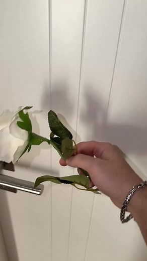 2.1K views | Da war er mal kurz romantisch  #fürdich #witzig #lustig #mädchen #deutsch #deutschland | Louisa Katharina | Facebook